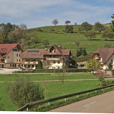 Landgasthof Adler Pelzmuehle בית הארחה