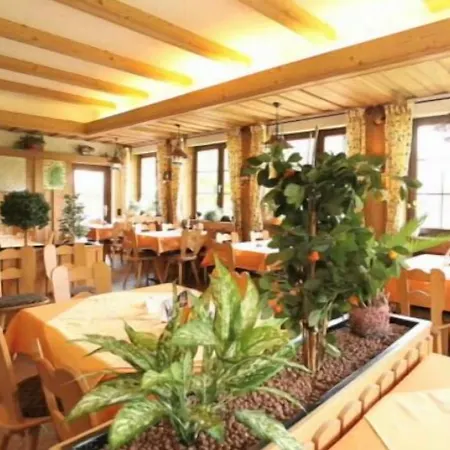 Landgasthof Adler Pelzmuehle Penzion 3*