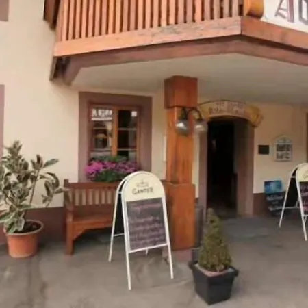 Landgasthof Adler Pelzmuehle Penzion 3*