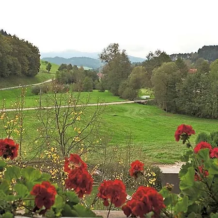 Гостевой дом Landgasthof Adler Pelzmuehle 3*