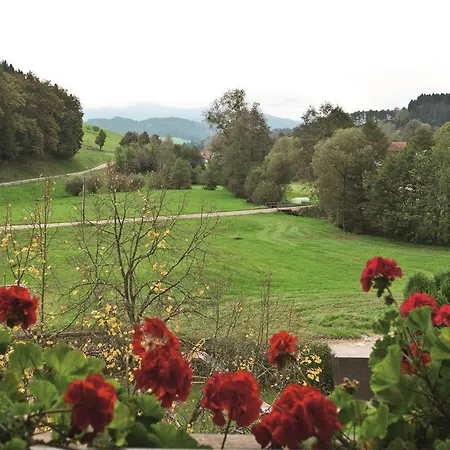 Landgasthof Adler Pelzmuehle Penzion 3*