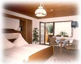 Landgasthof Adler Pelzmuehle 3* Biederbach