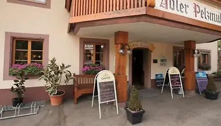 Landgasthof Adler Pelzmuehle 3* Biederbach
